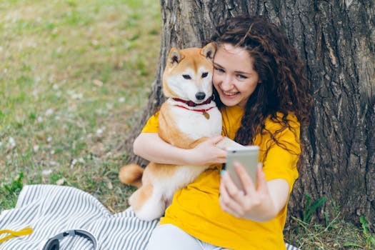 happy Shiba Inu playing in the park