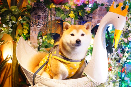 happy family with their Shiba Inu