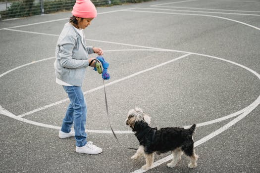 children training a dog