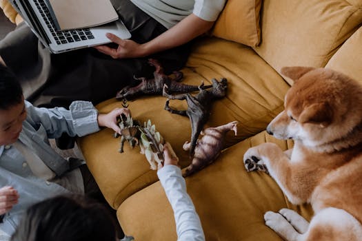 Shiba Inu playing with toys