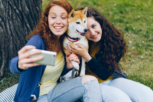 happy shiba inu playing in the park