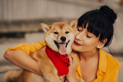 Caring for Shiba Inu