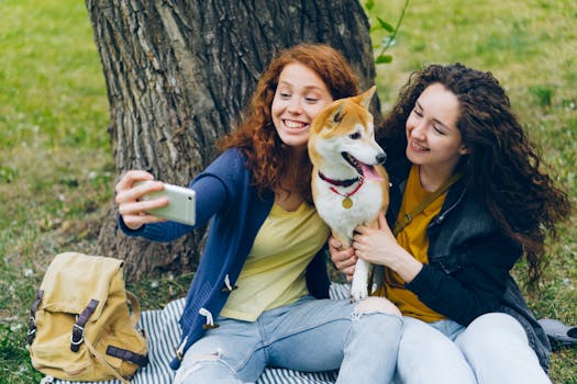 Shiba Inu enjoying a playdate with friends