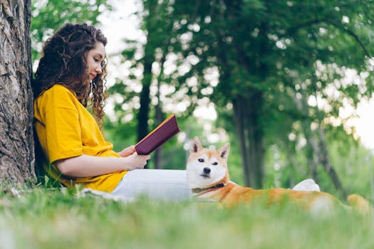 happy Shiba Inu enjoying the outdoors