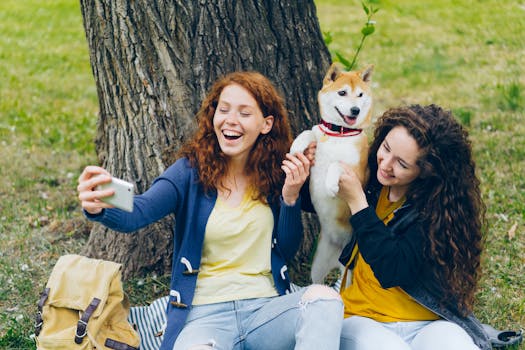 Shiba Inu playing with friends at a dog park