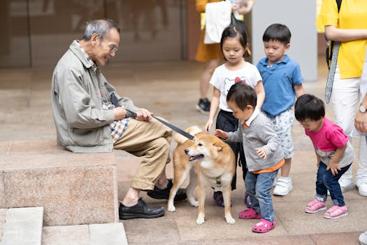 Shiba Inu interacting safely with children